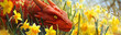 Big Red Welsh dragon in yellow daffodil flowers, card for St David's Day Holiday celebration in Wales, UK. Banner with Spring background with space for text.