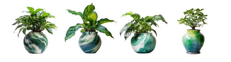 Wall Mural - collection of ornamental plants on ceramic pot	
