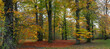 Bunter Laubwald im Herbst, Panorama, Bayern, Deutschland, Europa 
