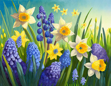 Abstract Spring Meadow With Easter Flowers Daffodils And Blue Grape Hyacinth Isolated On White Background, Texture Template Overlay Decoration For Springtime