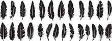 Feather Silhouette Vector