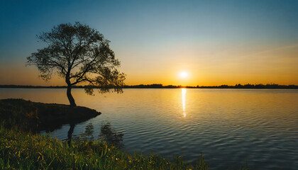 Wall Mural - Minimalist photo of a sunset over river with a tree