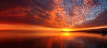 A Mesmerizing Murmuration: Flock Of Birds Flying In The Orange Sunset Sky.
