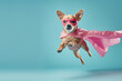 Super Dog. Funny puppy wearing superhero costume looking awa on empty space. Isolated on blue background. funny super dog flying