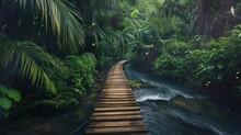 A Wooden Bridge That Passes Through The Forest On The River Bank. Seamless Looping Time-lapse Virtual Video Animation Background.
