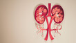 mockup of a kidney cut out of paper on a light background