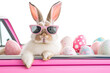 Cute Easter Bunny with sunglasses looking out of a car filed with easter eggs. Cool Easter bunny in a car delivering Easter eggs. an Easter bunny wearing sunglasses