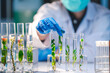 © chokniti - A Female Asian scientist working on a sample of plant in laboratory, concept of microbiology, pharmaceutical, biochemistry, genetics, horticulture or agricultural research or experiment and analysis.
