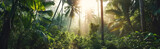 Fototapeta Las - Sun rays shining through the jungle