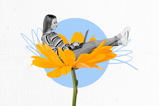 Collage creative poster monochrome effect smile lovely beautiful young woman work laptop flower blossom abstract exclusive template