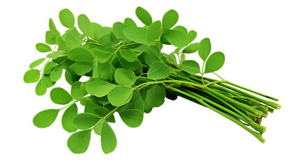 Bunch of Moringa Oleifera or sonjna over, Isolated on transparent PNG background, Generative ai