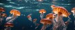the depths of the ocean with a beautiful jellyfish underwater background. Gaze onto shimmering, translucent jellyfish as they effortlessly glide across the rich blue ocean.