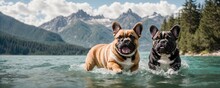 There Are Two Adorable French Bulldogs Playing Together In A Serene Lake With Shimmering Ocean Waves, Surrounded By Tall Mountains And Verdant Foliage.