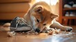 A photo of a ginger dog Shiba Inu, which is gnawing on sneakers in the house