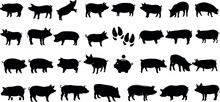 Black Pig Silhouettes On White Background, Diverse Pigs Vector Collection. Ideal For Agriculture Branding, Meat Store Logos, Educational Materials, And Countryside Imagery