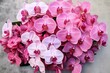 An overhead shot of a pink orchid and hydrangea arrangement. Generative AI