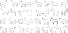 Vector Art Of Donkey Outline, Perfect Donkeys For Logo Design, Brand Identity, And Pattern Creation. Black Line Drawing Of Animal Illustration In Various Poses