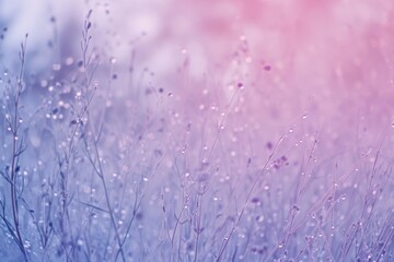 Poster - delicate grass with water droplets, set against a soft, blurred pink and blue background, creating a tranquil, dreamy scene.