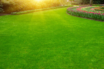 Canvas Print - Garden in spring with green grass