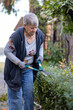 elderly woman cutting hedge with garden scissors