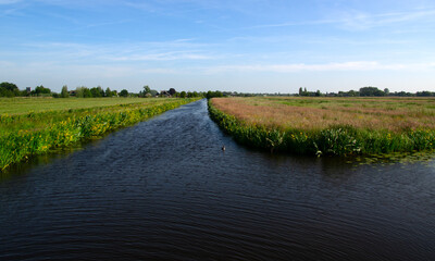 Canvas Print - Landscape green meadow and canal with clear water