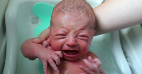 Wall Mural - Washing newborn baby bathing in warm water