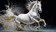 Powerful Mustang Horse Splashing in Dark Water