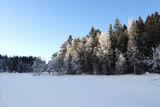 Fototapeta Natura - Winter