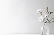 Beautiful white magnolia flowers in vase on white background. Generative Ai