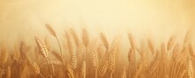 Wheat Plaid Background Texture
