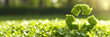 © sam - green recycling symbol on garden lawn background with copy space