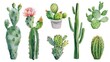 Set of cactus watercolor paint ilustration --ar 16:9 --v 6 Job ID: 49b90828-75d5-430d-800b-12facd236cbc