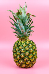 Wall Mural - Whole ripe pineapple on the pink background