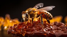Bee on honeycomb during golden hour, sony fe 90mm f 2.8 macro g oss lens, sony alpha 9