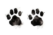 Illustration Of Black Silhouette Of A Dog Paw Prints On White Background