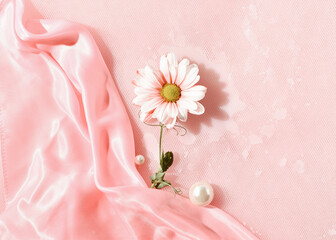 Delicate soft pink floral composition with wet tulle and daisy flower. Hydration and moisturizing with natural products.