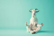 Goat doing yoga. AI generative art