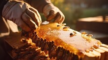 A Beekeeper Farmer Holds The Honeycomb In His Hands To Extracts Honey From Bee Hives. AI Generated
