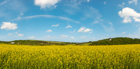 Wall Mural - Spring rapeseed yellow blooming fields view, blue sky with clouds in sunlight panorama. Pyatnychany tower (defense structure, 15th century) on far hill slope.