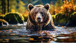 Brown bear swimming in the forest. Dangerous animal in nature. Wildlife scene