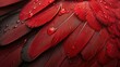 © Jennifer - red feather pigeon macro photo. texture or background