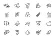 Herbs and spices line icons. Spices line icons cooking recipes herbs.