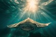 A mesmerizing marine mammal gracefully swims beneath the glistening sunlight, showcasing its elegant fins as it glides through the underwater world