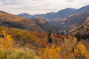 Wall Mural - Beautiful view at the mountains covered by fall colors foliage in McClure Pass in Colorado