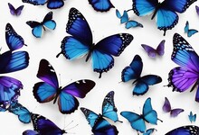 Set Two Beautiful Blue With Purple Butterflies Isolated On White Background Butterfly With Spread Wi