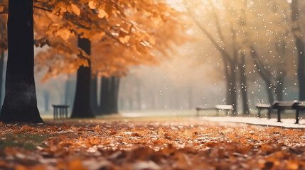 Wall Mural - blurred background of autumn park