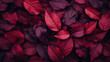 beautiful dark red autumn leaves background top view.