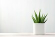 White table with a potted aloe vera plant on it front view providing space for text or mockup
