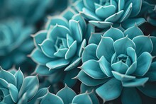 Close Up Of A Teal Cactus With Leaves On A Green Background Cactus Pattern Wallpaper Showcasing Succulent Plant Details And Bloom