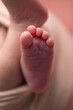 © natrocfort - Newborn soft baby feet body part delicate motherhood